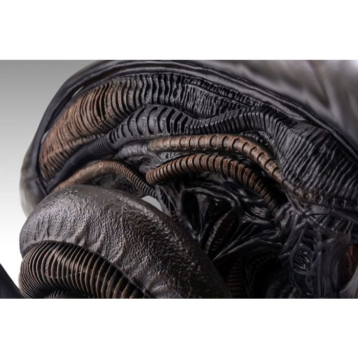Alien Romulus Bust 1/1 Xenomorph 53 cm