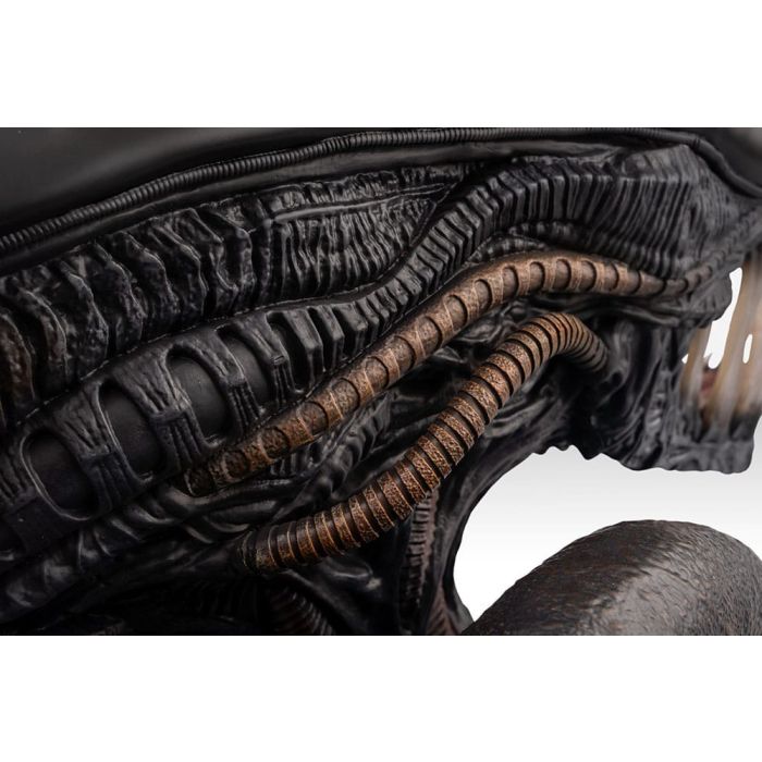 Alien Romulus Bust 1/1 Xenomorph 53 cm