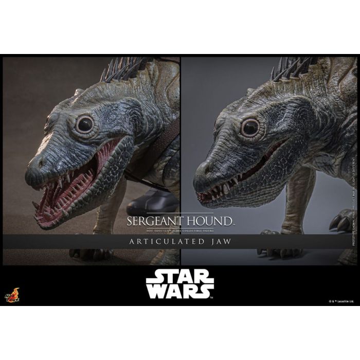 Star Wars: The Clone Wars Action Figure 1/6 Sergeant Hound 30 cm