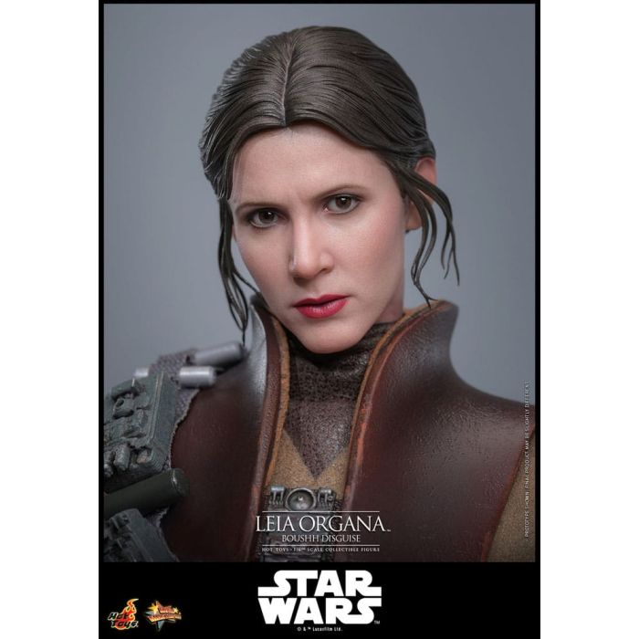 Star Wars Episode VI Movie Masterpiece Action Figure 1/6 Leia Organa (Boushh Disguise) 27 cm
