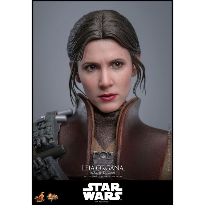 Star Wars Episode VI Movie Masterpiece Action Figure 1/6 Leia Organa (Boushh Disguise) 27 cm