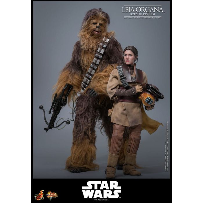 Star Wars Episode VI Movie Masterpiece Action Figure 1/6 Leia Organa (Boushh Disguise) 27 cm