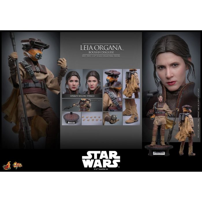 Star Wars Episode VI Movie Masterpiece Action Figure 1/6 Leia Organa (Boushh Disguise) 27 cm
