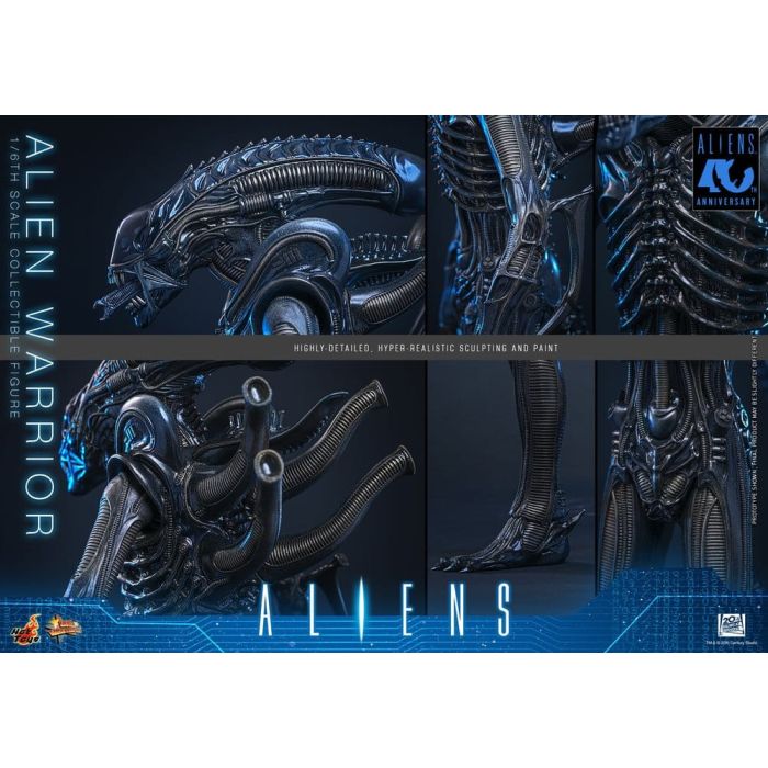 Alien Movie Masterpiece Action Figure 1/6 Alien Warrior 39 cm