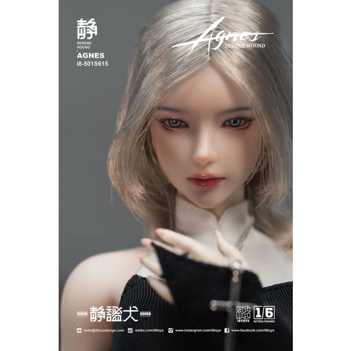 Original Character Action Figure 1/6 Serene Hound 