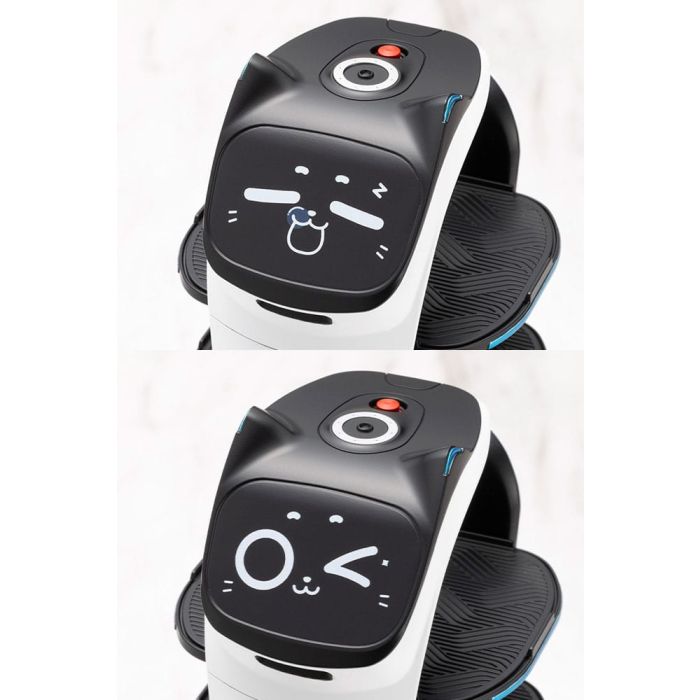 Pudu Robotics Grande ScalePlastic Model Kit BellaBot 19 cm   