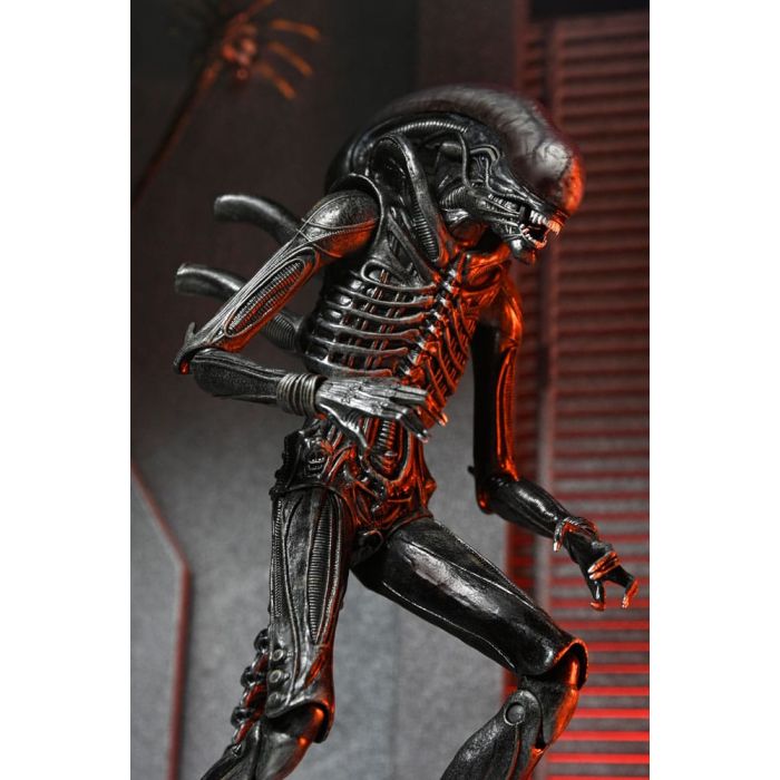 Alien: Romulus Action Figure Ultimate Xenomorph XX121 18 cm