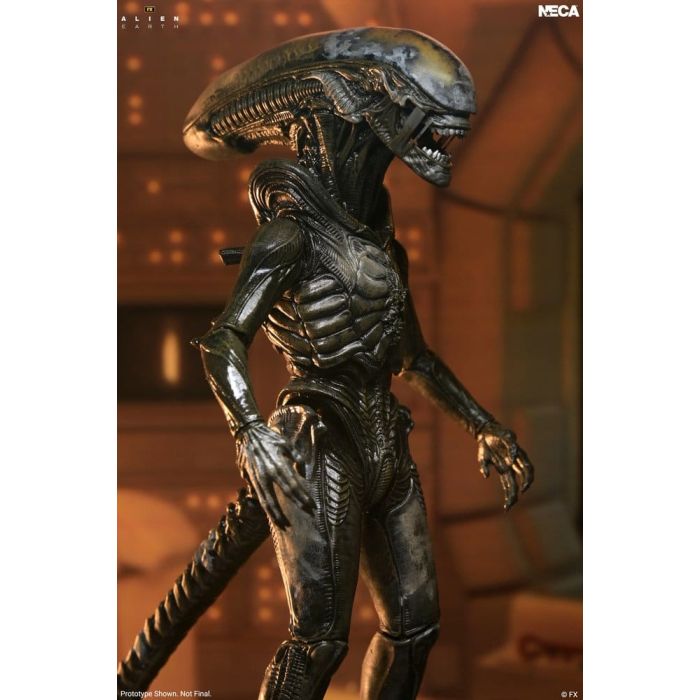 Alien: Earth Ultimate Action Figure Wendy's Xenomorph 18 cm