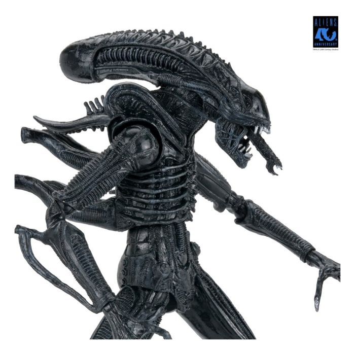 Aliens Ultimate Action Figure Warrior (1986) Xenomorph Black (40th Anniversary) 23 cm