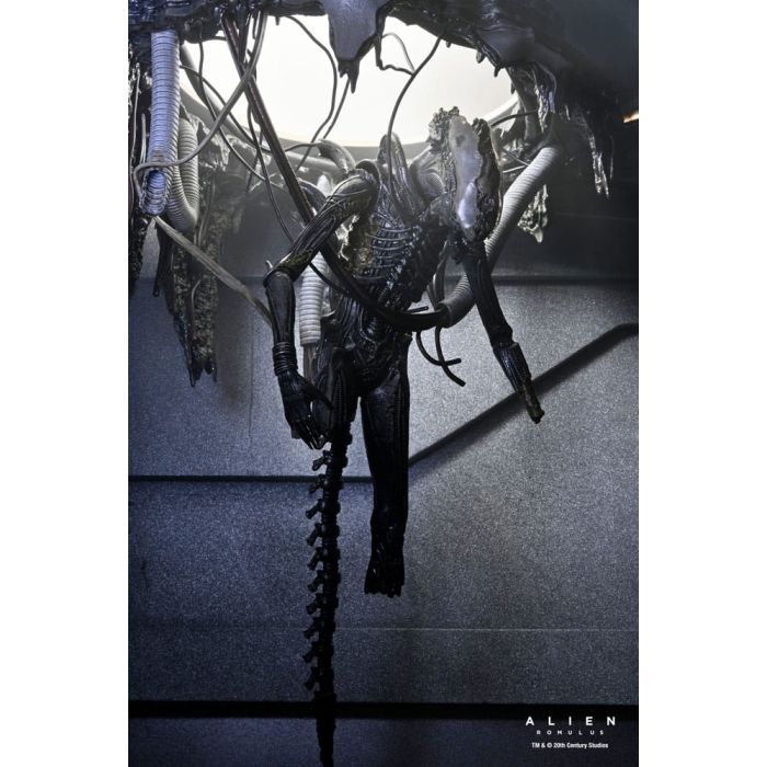Alien: Romulus Action Figure Deluxe Suspended Lab Xenomorph XX121 18 cm