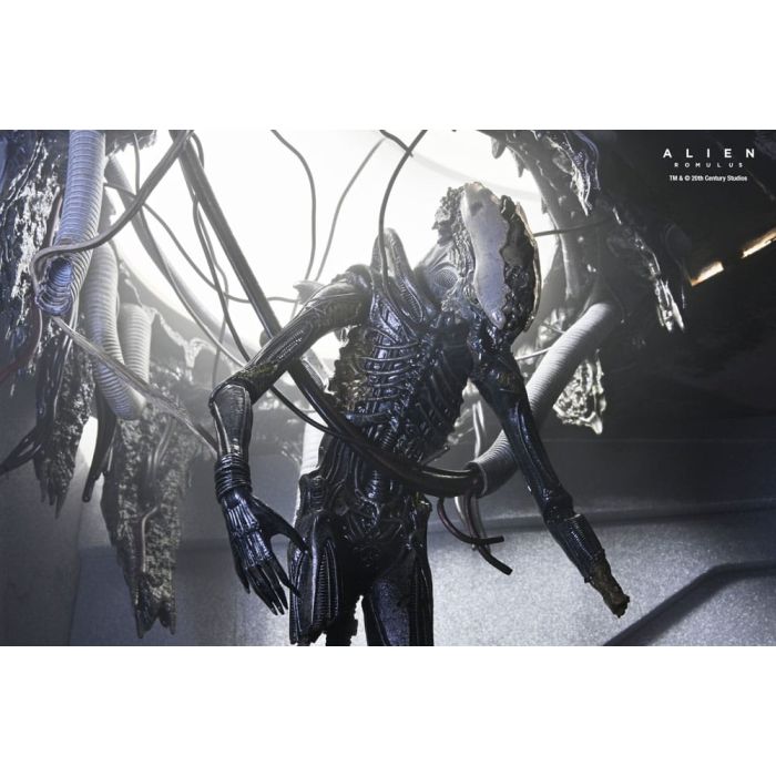 Alien: Romulus Action Figure Deluxe Suspended Lab Xenomorph XX121 18 cm