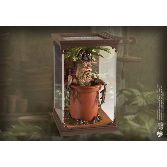 Harry Potter - Magical Creatures Mandrake