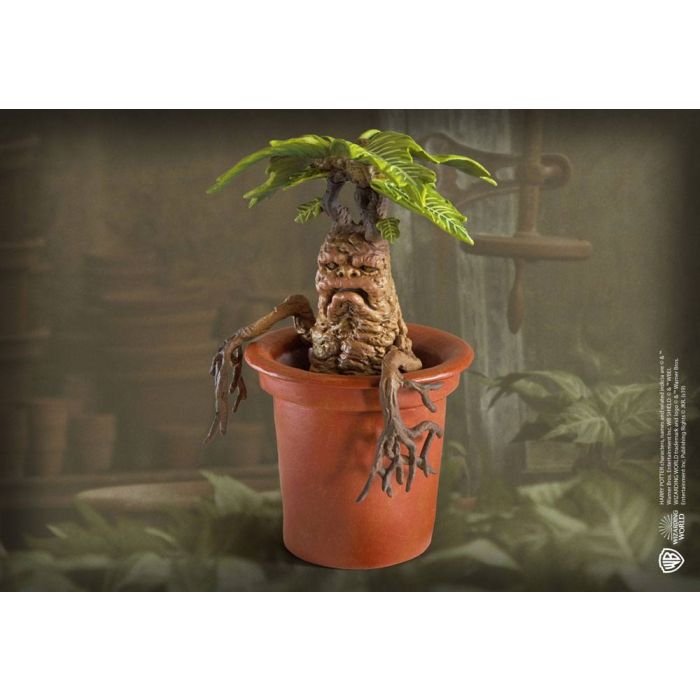 Harry Potter - Magical Creatures Mandrake