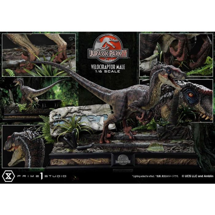 Jurassic Park III Legacy Museum Collection Statue 1/6 Velociraptor Male 40 cm