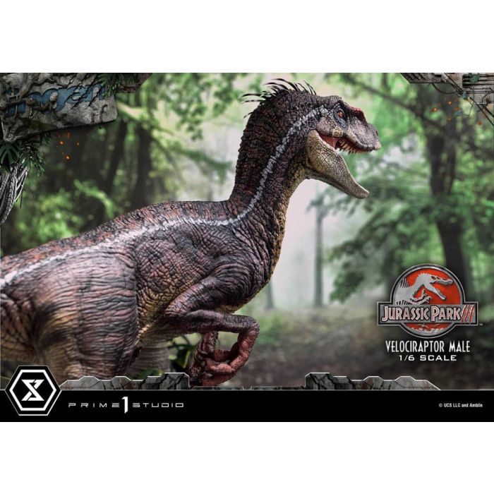 Jurassic Park III Legacy Museum Collection Statue 1/6 Velociraptor Male 40 cm
