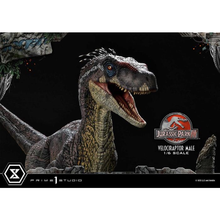 Jurassic Park III Legacy Museum Collection Statue 1/6 Velociraptor Male 40 cm