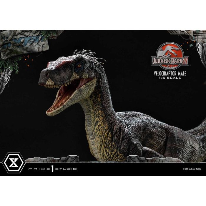 Jurassic Park III Legacy Museum Collection Statue 1/6 Velociraptor Male 40 cm