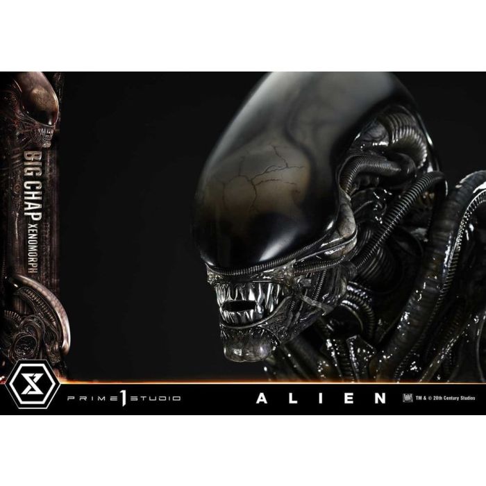 Alien Museum Masterline XL Statue 1/3 Big Chap Xenomorph Regular Ver. Bonus Version 100 cm