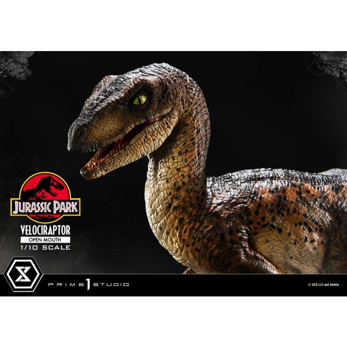 Jurassic Park Prime Collectibles Statue 1/10 Velociraptor Open Mouth 19 cm