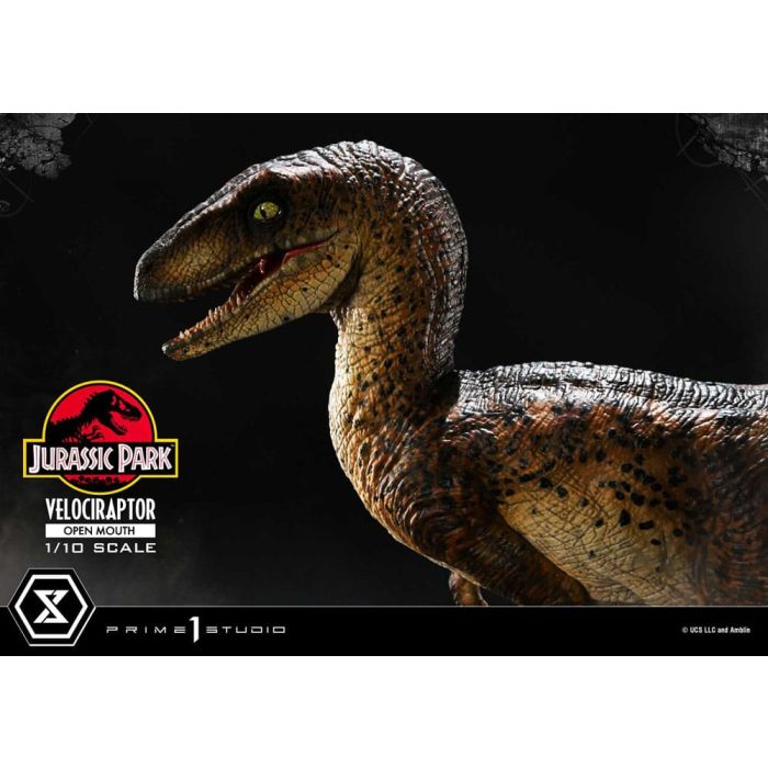 Jurassic Park Prime Collectibles Statue 1/10 Velociraptor Open Mouth 19 cm