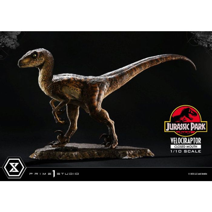 Jurassic Park Prime Collectibles Statue 1/10 Velociraptor Closed Mouth 19 cm