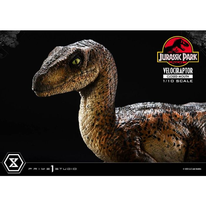 Jurassic Park Prime Collectibles Statue 1/10 Velociraptor Closed Mouth 19 cm