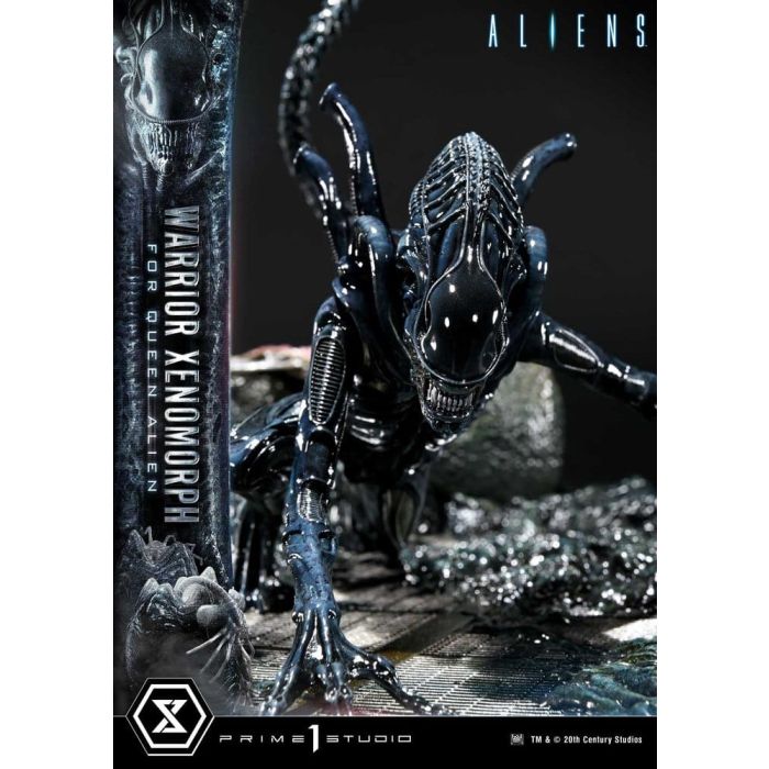 Aliens (Film) Ultimate Diorama Masterline Statue Warrior Xenomorph for Queen Alien 23 cm