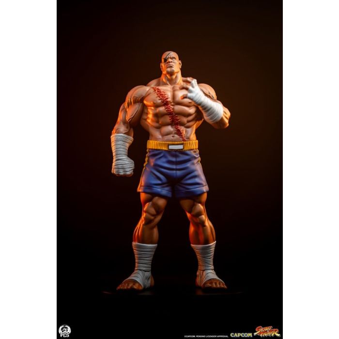 Street Fighter Street Jam Statuen 1/10 Sagat & Juli 24 cm