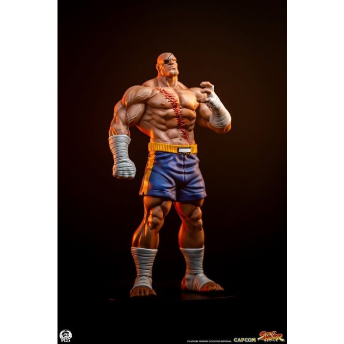 Street Fighter Street Jam Statuen 1/10 Sagat & Juli 24 cm