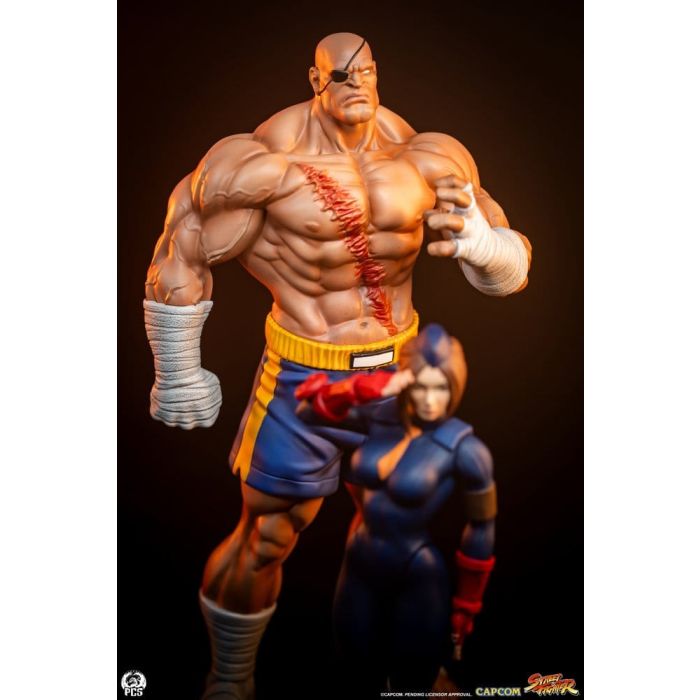 Street Fighter Street Jam Statuen 1/10 Sagat & Juli 24 cm