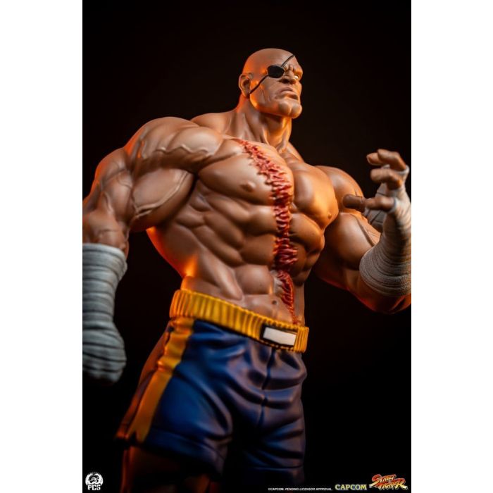 Street Fighter Street Jam Statuen 1/10 Sagat & Juli 24 cm