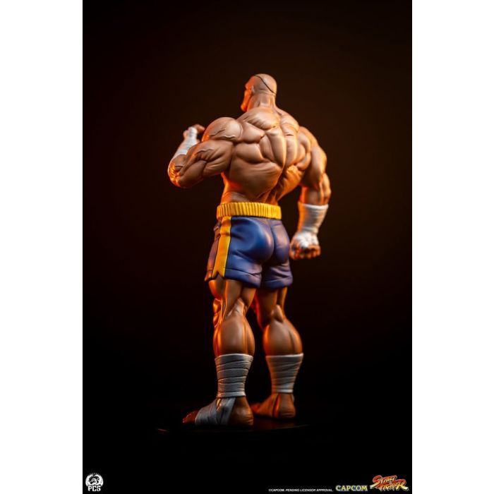 Street Fighter Street Jam Statuen 1/10 Sagat & Juli 24 cm