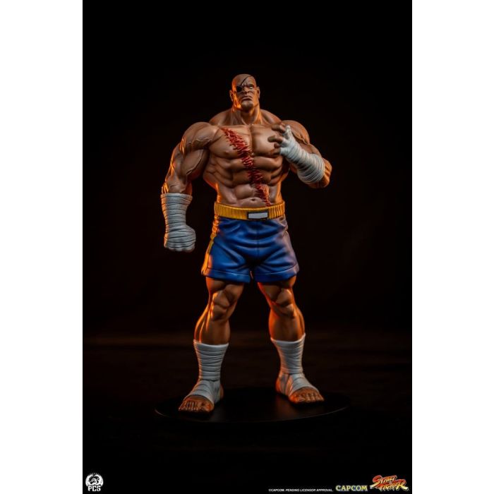 Street Fighter Street Jam Statuen 1/10 Sagat & Juli 24 cm
