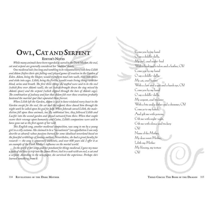 Vampire: The Masquerade 5th Edition RPG book Revelations of the Dark Mother Accessory *Englische Version*