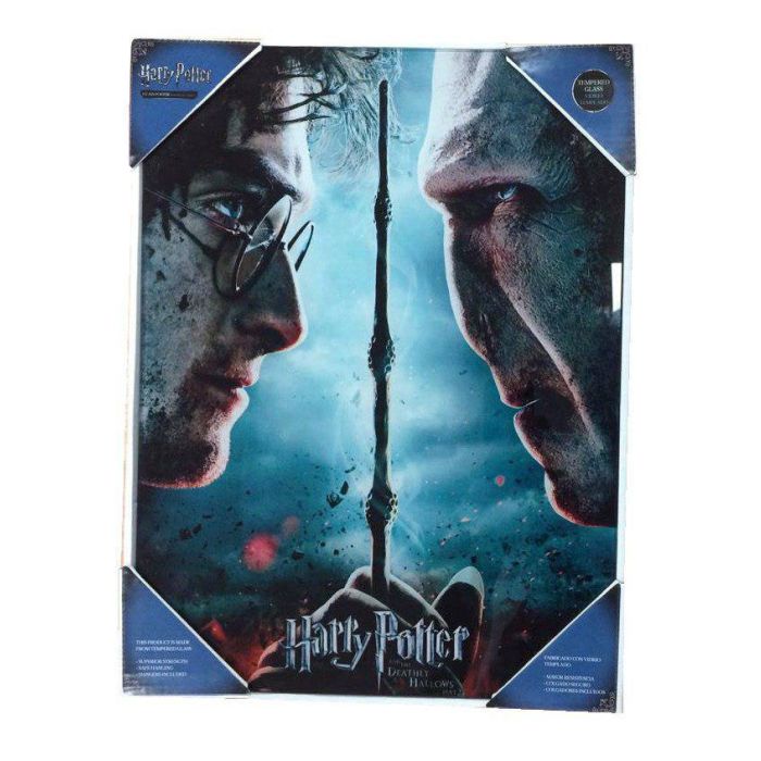 Harry Potter Glass Poster Harry & Voldemort 30 x 40 cm