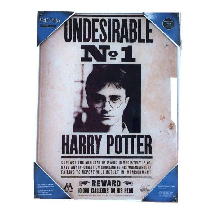 Harry Potter Glass Poster Undesirable No. 1 30 x 40 cm