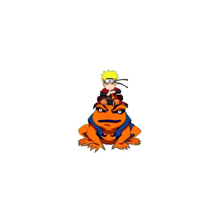 Naruto Shippuden Light Naruto and Gamakishi 20 cm 