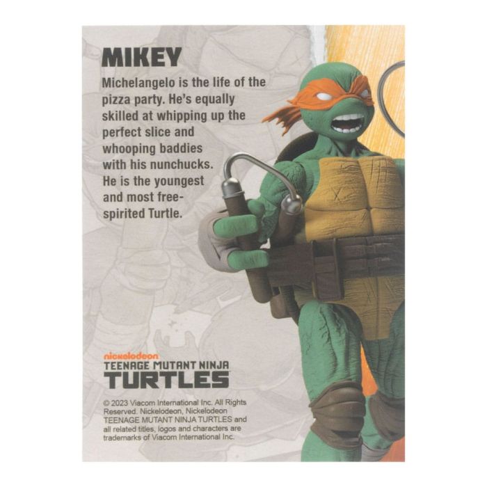 Teenage Mutant Ninja Turtles BST AXN Action Figure Michelangelo (IDW Comics) 13 cm