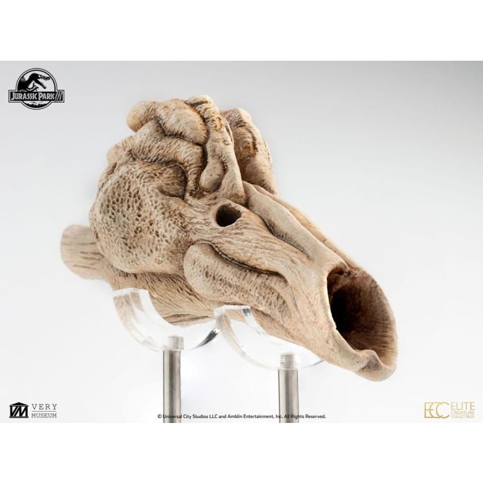 Jurassic Park III Prop Replica 1/1 Velociraptor Resonance Chamber 18 cm