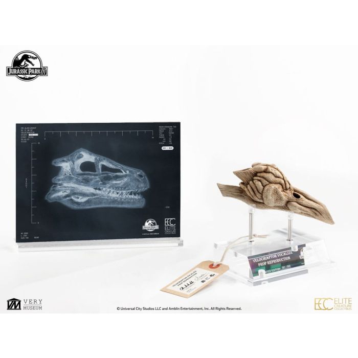 Jurassic Park III Prop Replica 1/1 Velociraptor Resonance Chamber 18 cm