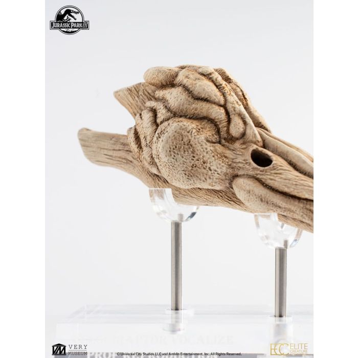 Jurassic Park III Prop Replica 1/1 Velociraptor Resonance Chamber 18 cm