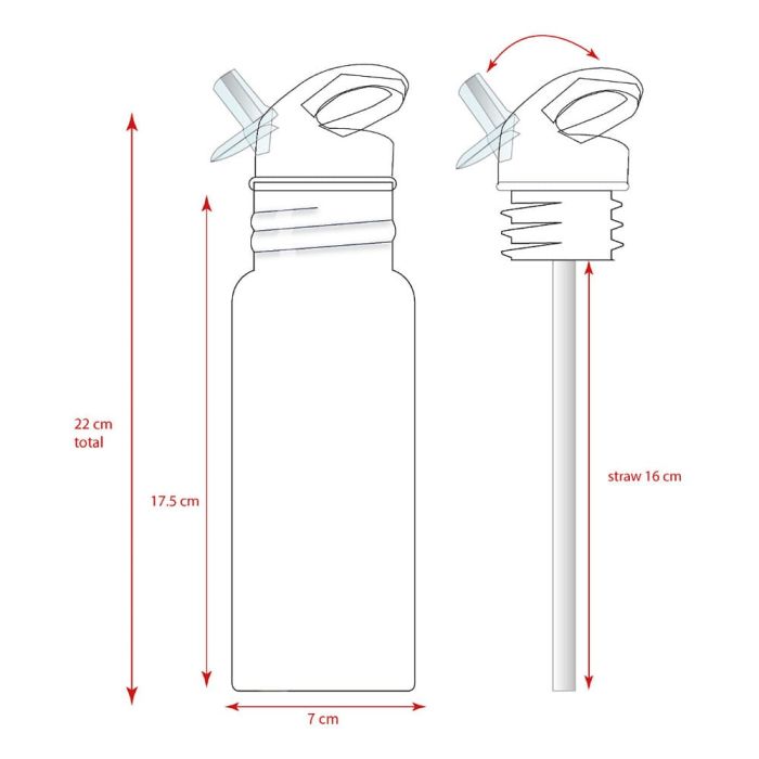 Spider-Man Water Bottle Spidey Take A Sip 500 ml