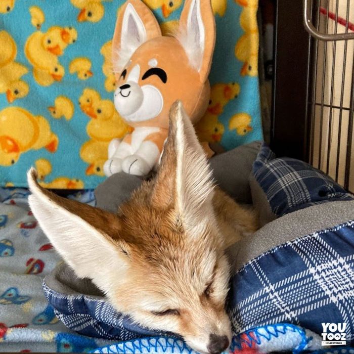Fennec Fox Plush Figure - Youtooz - Original