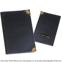 Harry Potter - Tom Riddle Diary