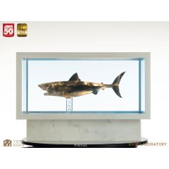 Jaws Maquette 1/18 Jaws Bronze 60 cm