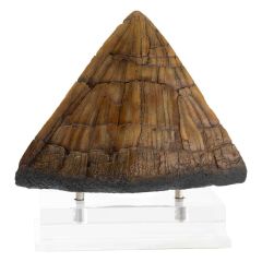 Jurassic Park Statue Triceratops Spike Prop (Reproduction) 19 cm