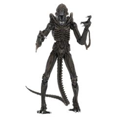 Aliens Ultimate Action Figure Warrior (1986) Brown 23 cm