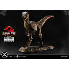 Jurassic Park Prime Collectibles Statue 1/10 Velociraptor Open Mouth 19 cm