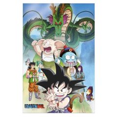 Dragon Ball 3D Poster Shenron & Heroes 38 x 58 cm