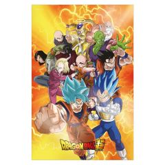 Dragon Ball Super 3D Poster Survival Heroes 38 x 58 cm